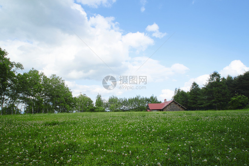 绿色的鲜绿小屋白色季节天空蓝天图片