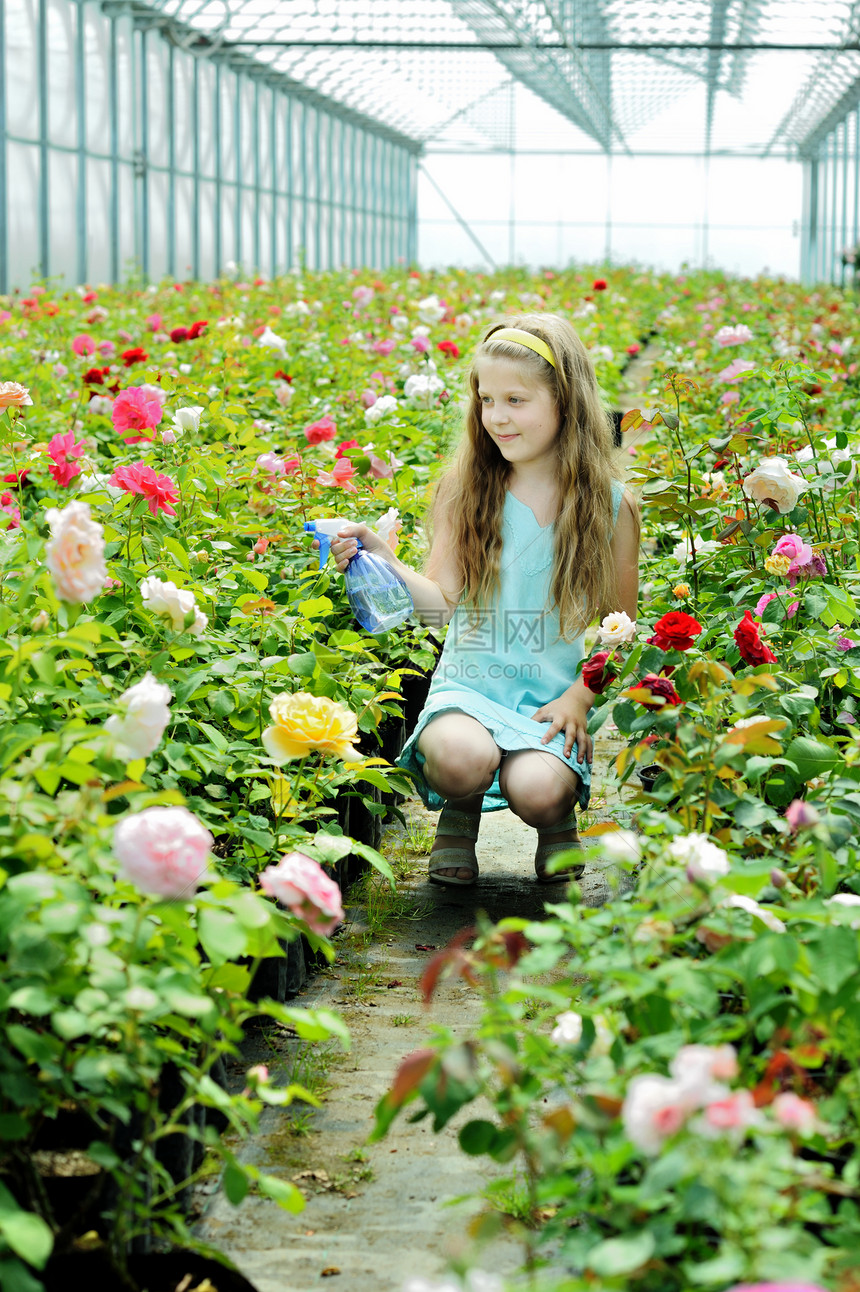 在玫瑰里快乐园艺孩子绿色幸福乐趣女性女孩植物闲暇图片