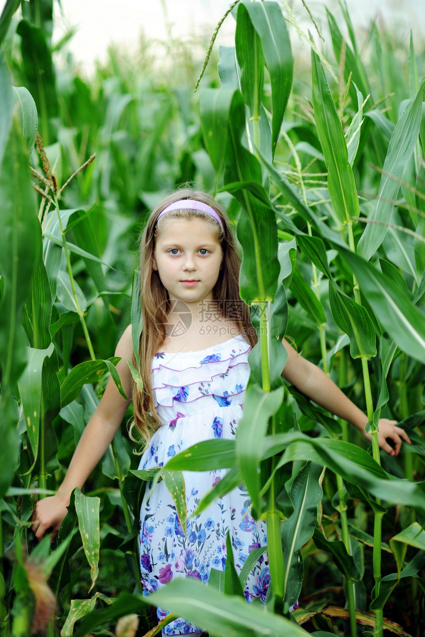 女童女孩活动国家青年孩子场地麦田乡村隐藏农业生活图片