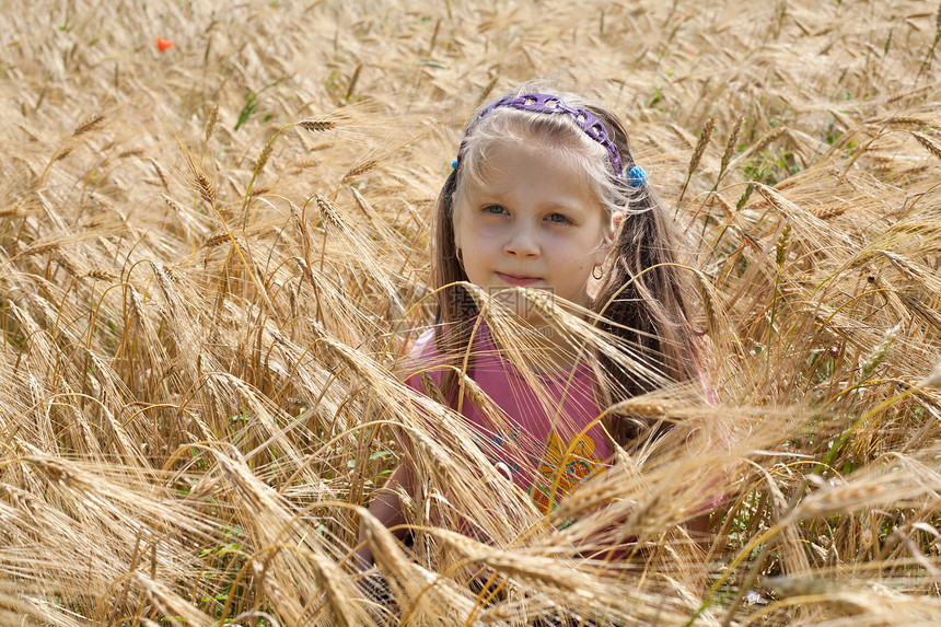 实地的女童乐趣植物金发福利女孩自由幸福小麦女性乡村图片