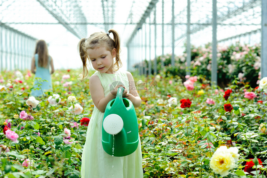 鲜花浇水玫瑰幸福童年闲暇孩子绿色乐趣植物园艺女性图片