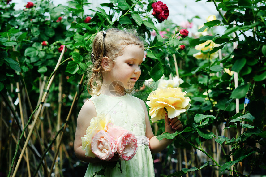 玫瑰花女性玫瑰粉色植物农业花园女孩园丁绿色孩子图片