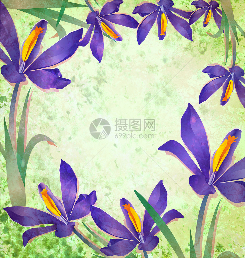 绿色背景的春花花花篮板框架植物宏观花园季节边界紫色花束插图花瓣卡片图片