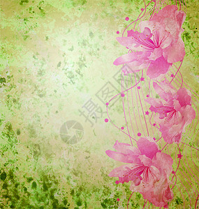 粉红花花 浪漫的春春春情背景 爱情和可爱玫瑰装饰插图剪贴簿装饰品边界墙纸风格织物框架背景图片
