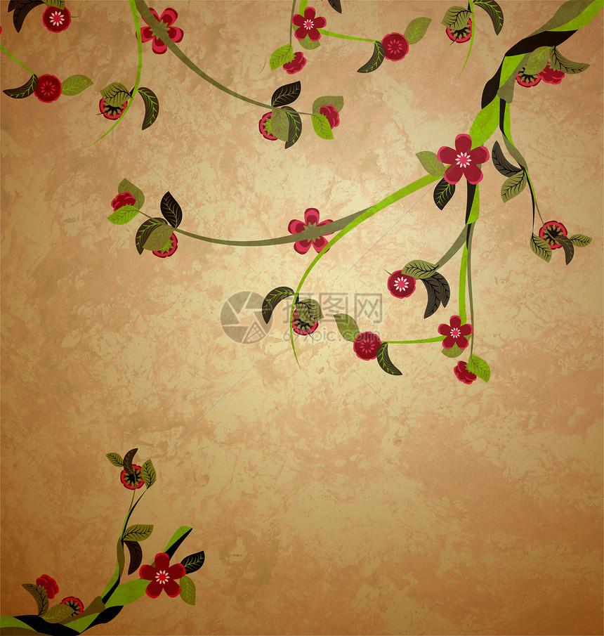 在老旧纸面背景板上鲜树插图植物边界樱花季节卡片花园花瓣叶子墙纸橙子图片