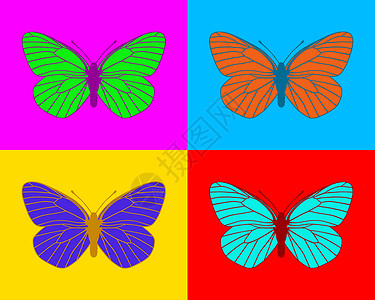 蝴蝶动物流行音乐昆虫插图艺术卡片流行静脉翅膀背景图片