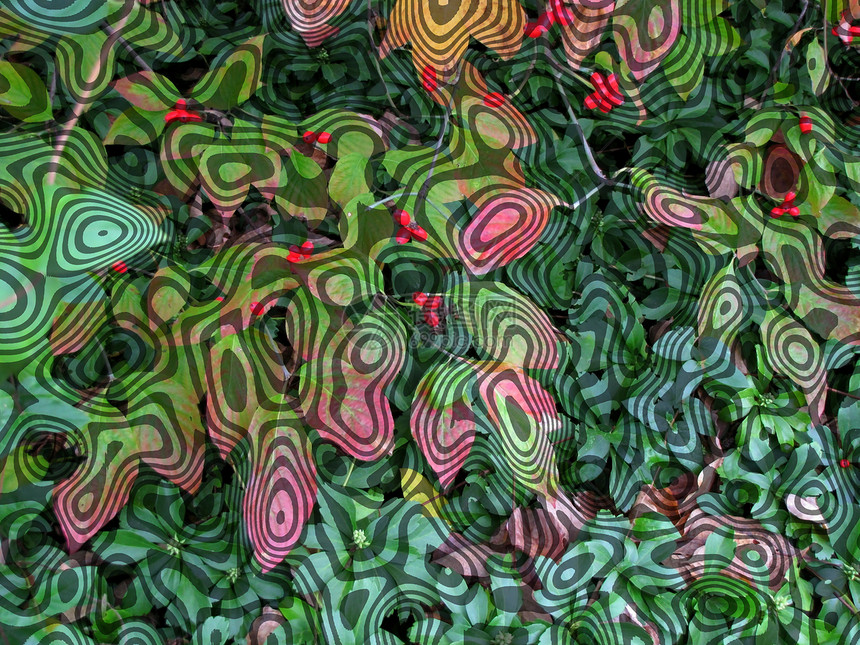 抽象效果分支摘要效应藤蔓创造力艺术绿色植物叶子图片