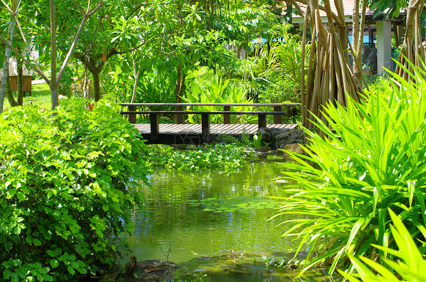 有池塘的园圃花瓣岩石水池森林衬套石头小路公园精神溪流图片