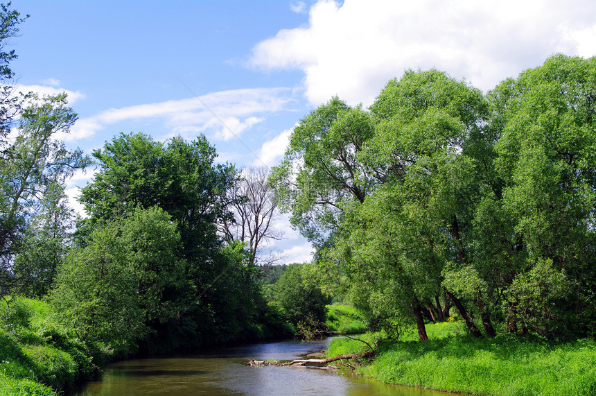夏季风景与河流季节天堂场景公园农村旅游植物晴天天空叶子图片