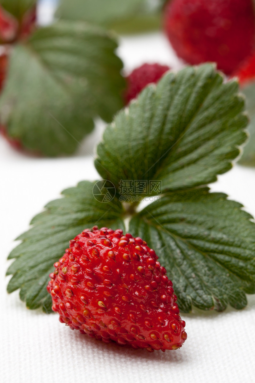 草莓和奶油水果营养果味奶制品白色食物甜点红色浆果奶油状图片