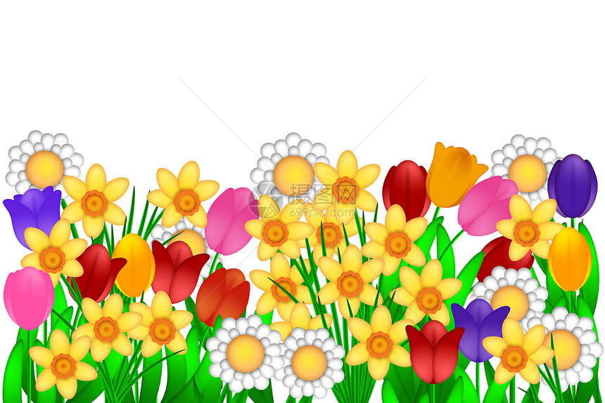 春花插图灯泡叶子友谊季节植物花园花束边界水仙花橙子图片