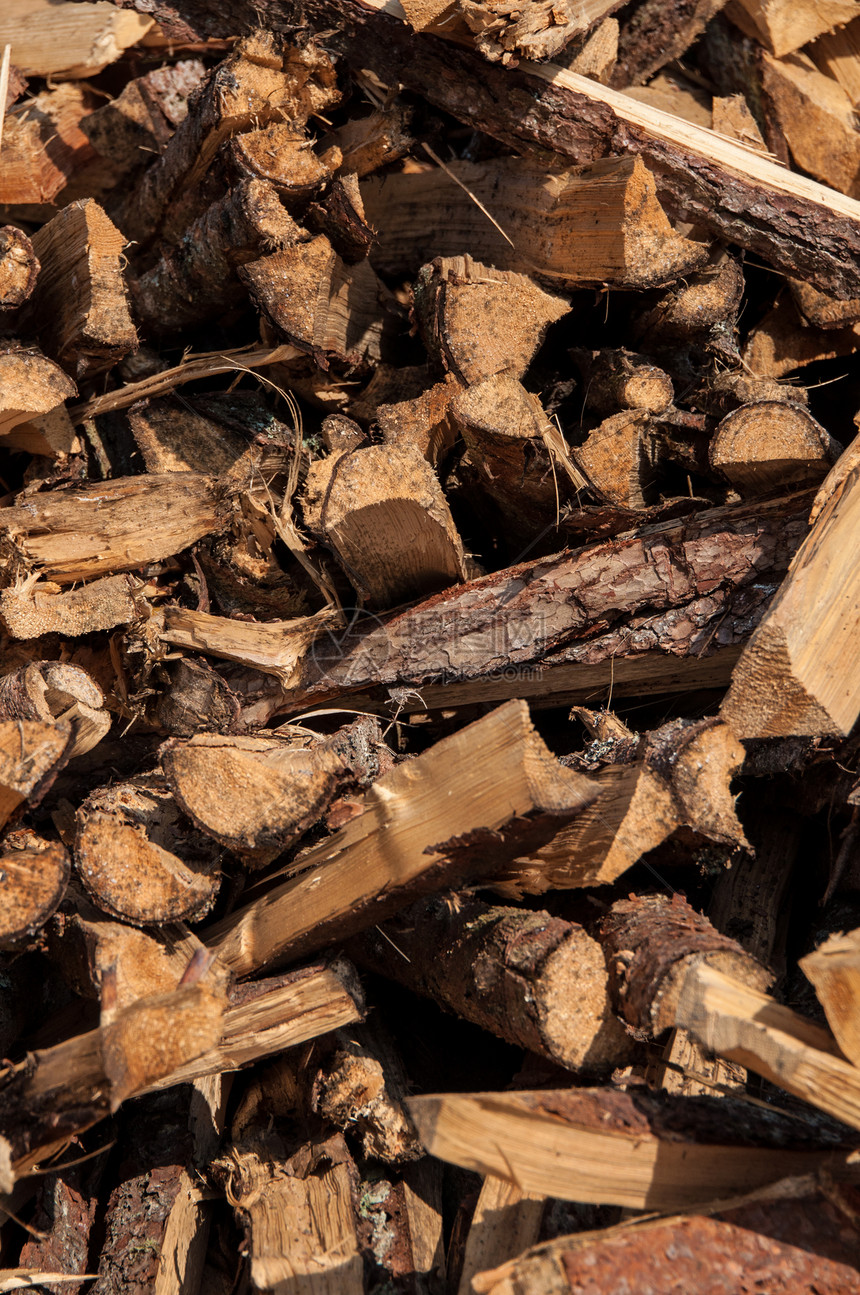 森林中木柴分离堆燃料火炉树干链锯活力柴堆壁炉化石森林分支机构图片