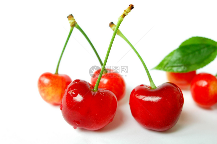 樱桃水果水滴食物营养白色绿色茶点叶子红色甜点浆果图片