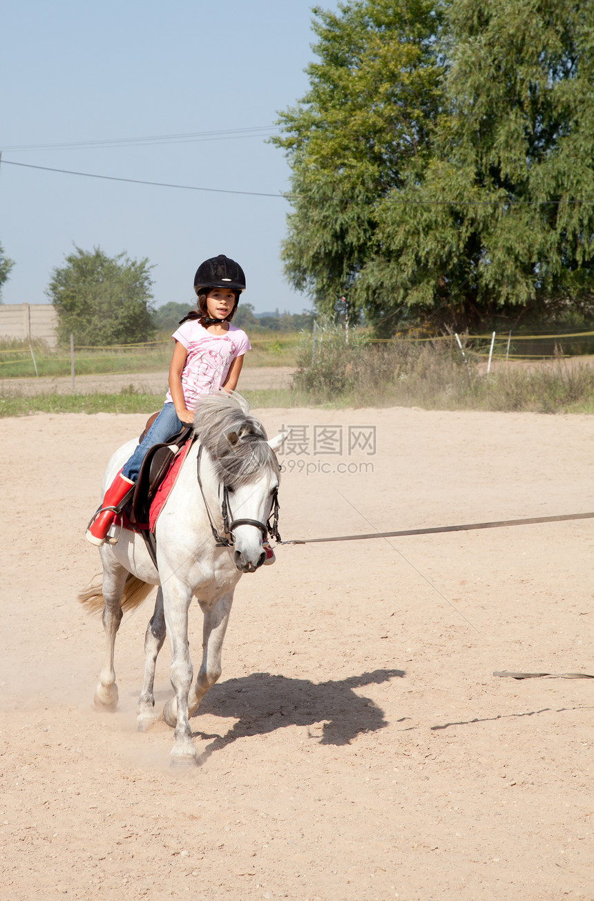 女孩骑马跑步必修课程生物头盔女性化运动马术休闲安全骑术动物小跑图片
