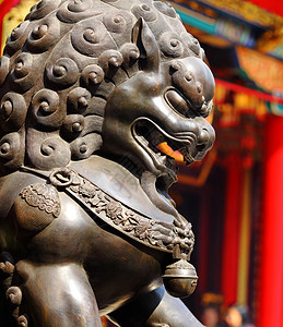 中国寺庙里的青铜狮旅行历史红色雕像建筑学狮子帝国石头地标文化背景图片