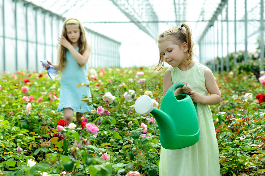 温室闲暇孩子园艺乐趣女性童年植物幸福绿色女孩图片