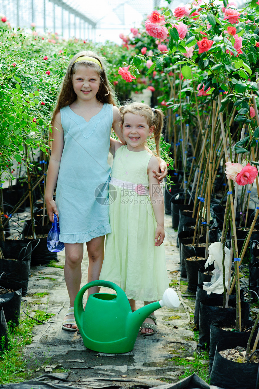 姐妹姊妹园艺植物玫瑰兄弟女孩园丁粉色孩子绿色女性图片