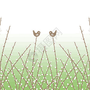 春柳和鸟儿生态白色植物群绿色植物生长季节棕色插图叶子插画