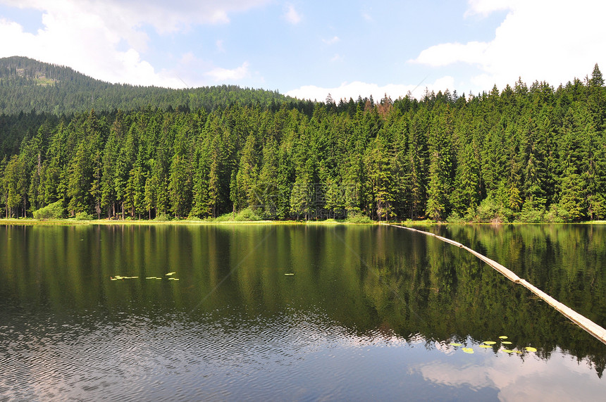 巴伐利亚的Arber湖冰川银行荒野水域支撑森林木头旅行山脉图片