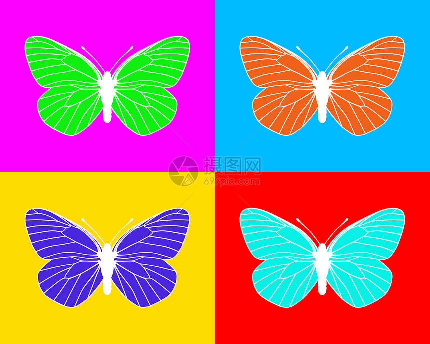 蝴蝶昆虫动物静脉流行艺术卡片插图流行音乐翅膀图片