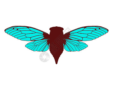 美丽的仙子动物翅膀动物学插图蓝色生物学科学昆虫学棕色背景图片