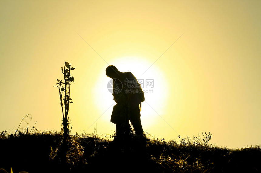 游居者孤独者黄色牧草远足者漫游游客场地日落牧场根光图片