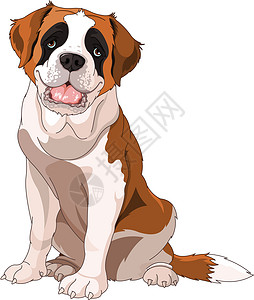 圣伯纳德狗哺乳动物动物警卫主题白色生物插图犬类卡通片宠物插画