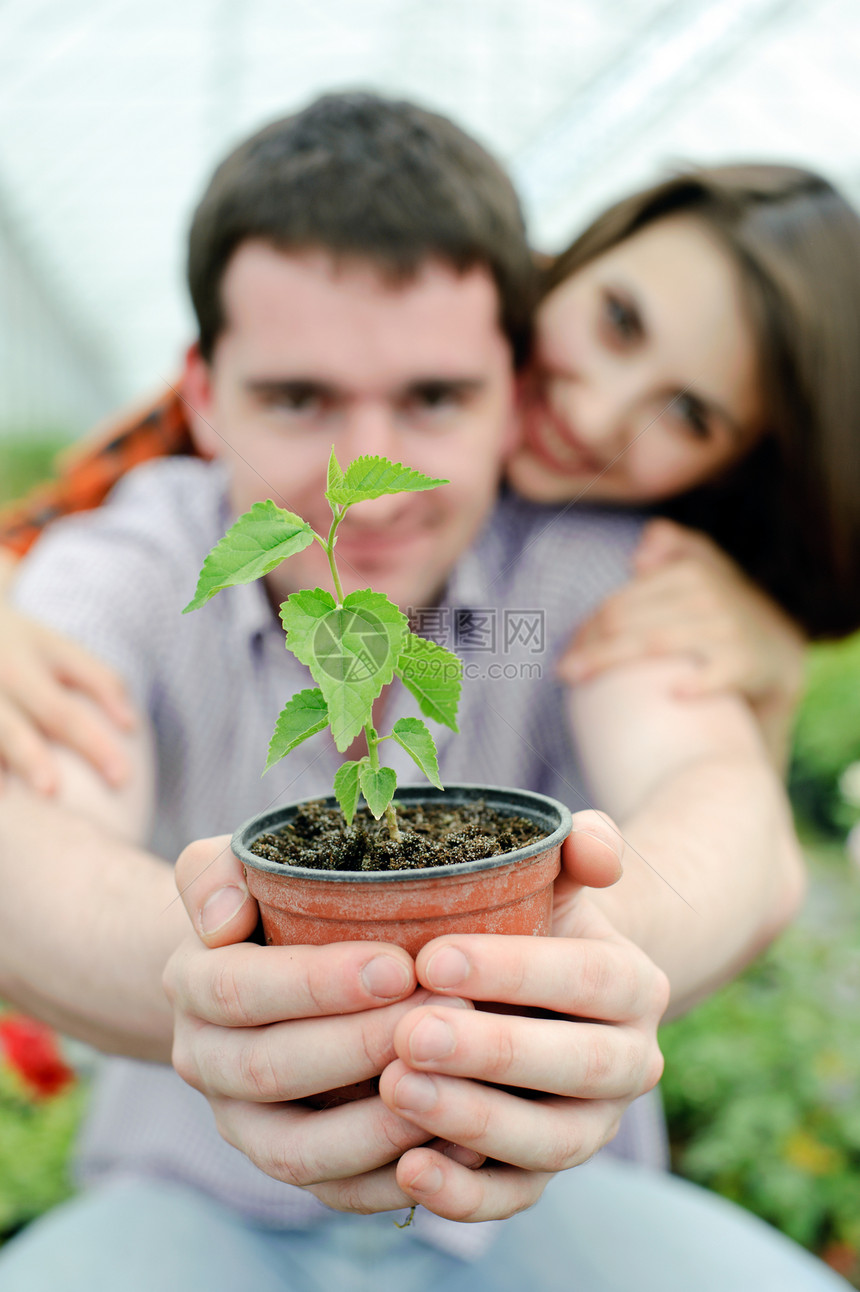 幸福快乐女士男人女性闲暇家庭叶子商业苗圃园艺夫妻图片
