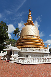 斯里兰卡丹布卢拉金寺佛教徒stupa佛塔神社金子佛教徒寺庙背景图片