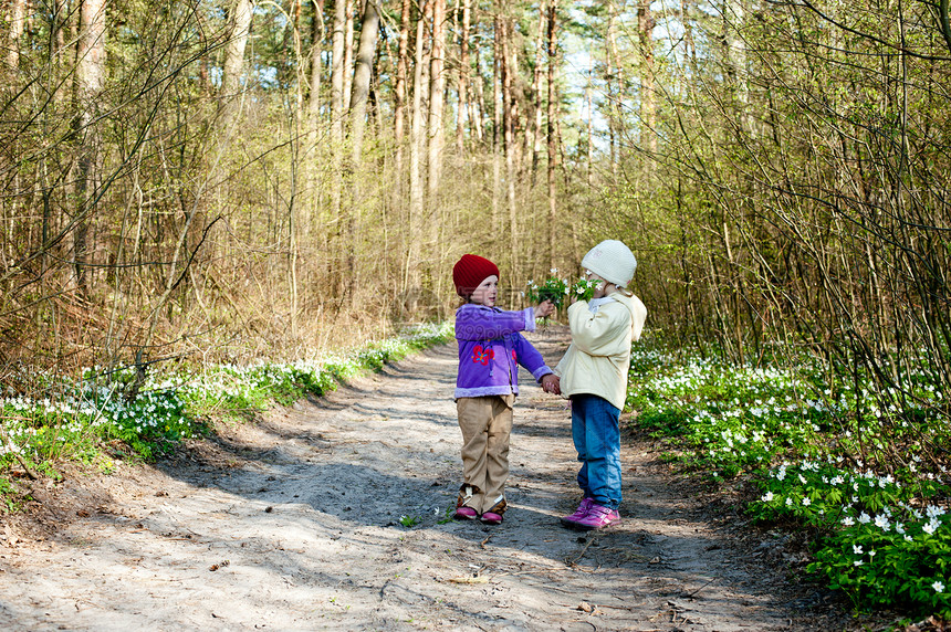 两个朋友绿色女性森林姐姐木头生长植物群女孩童年公园图片