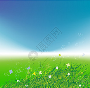蓝色雏菊绿地 有蝴蝶 夏季背景生长场地天空生活刀刃天堂叶子花园场景阳光插画