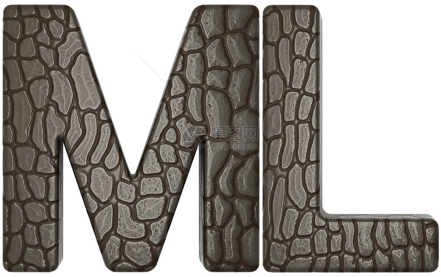 鳄鱼皮肤字体m和l 大写字母图片