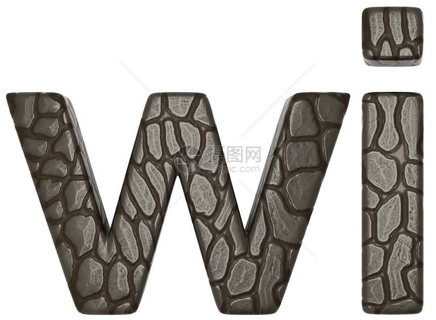 鳄鱼皮肤字体W和i小写字母图片