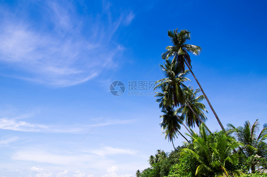 热带热带海滩珊瑚蓝色支撑尾巴岩石晴天旅行悬崖旅游天堂图片