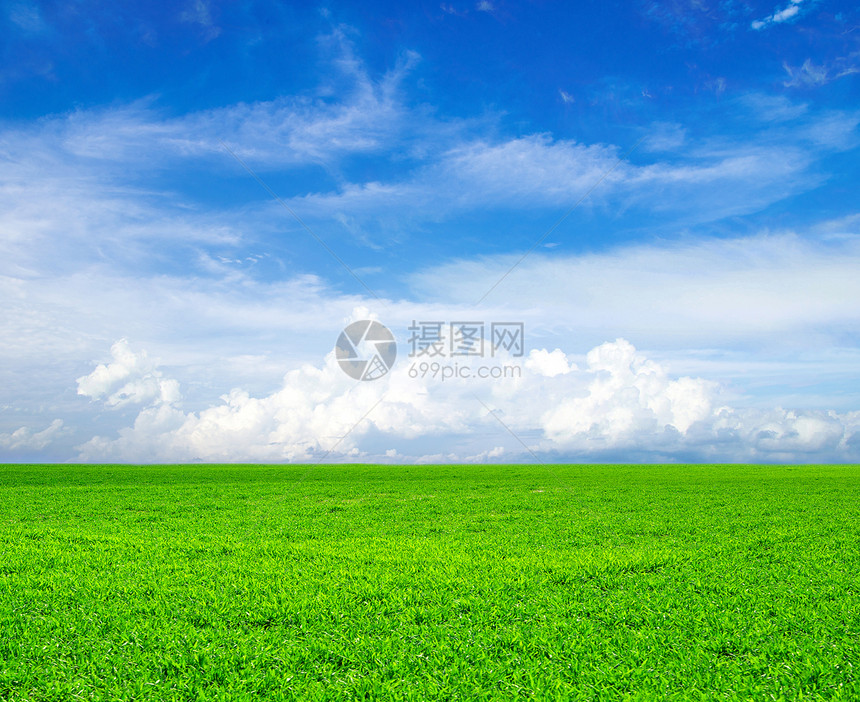 字段地平线场地风景季节乡村天气天空农场阳光绿色图片