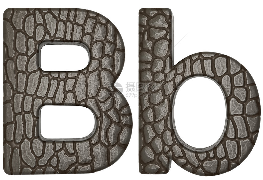 鳄鱼皮肤字体 B 小写和大写字母图片