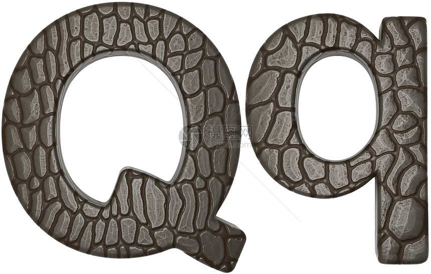 鳄鱼皮肤字体Q小写和大写字母图片