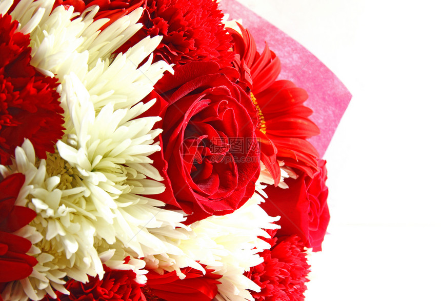 白色背景的红花束和白花束图片