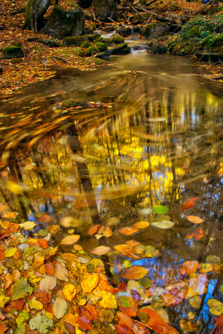 秋流反射国家日落林地小路植被橙子季节风景季节性图片