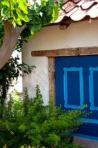 窗户植物植物学蓝色区系建筑植物群房子背景图片