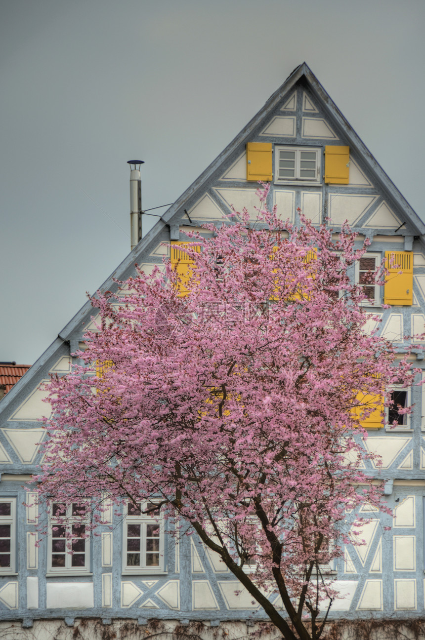 基尔赫海石粉色房子城市历史木头建筑建筑学玫瑰木结构框架图片