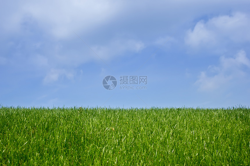 绿草和蓝天空草地太阳牧场宏观天气蓝色国家射线天空晴天图片