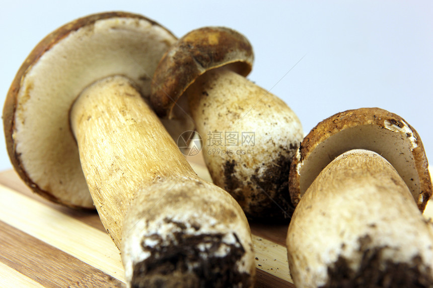 蘑菇     波西尼 博利特斯猪排生活种植者肉汁食物牡蛎蔬菜鉴别运动牛扒图片