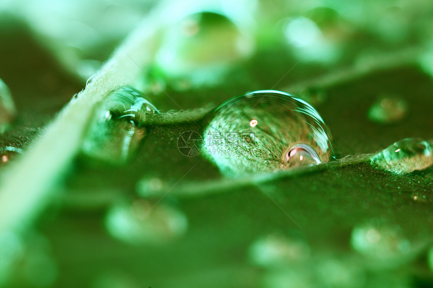 水滴宏宏观蓝色气泡墙纸生活植物玻璃天气液体反射图片