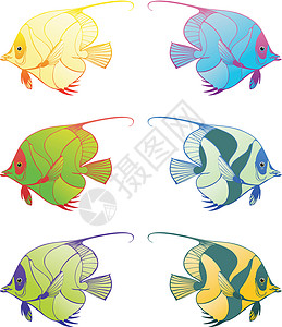 鱼3绿色眼睛黄色尾巴卡通片插图导航气泡艺术动物群背景图片