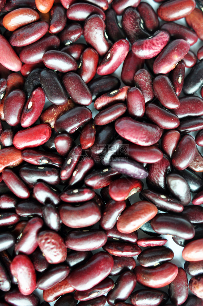 肾豆营养种子豆子团体黑色粮食棕色植物菜豆红色图片