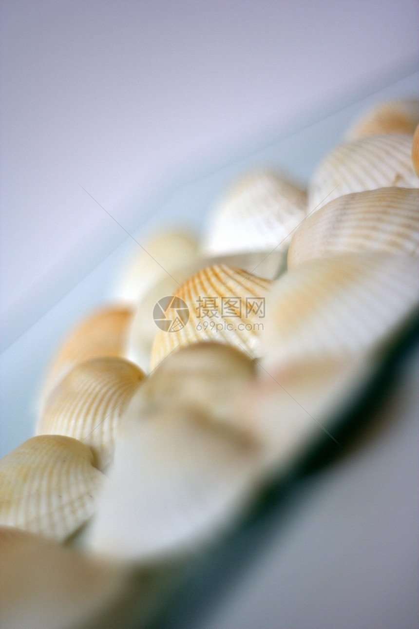 贝壳和扇贝营养餐厅市场午餐白色贝类美食海鲜海洋盘子图片