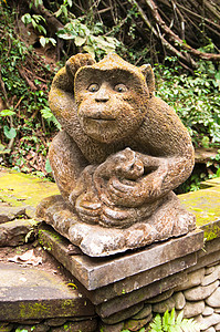 动物雕塑素材猴子雕像寺庙建筑学传统动物宗教森林宽慰砂岩历史雕塑背景