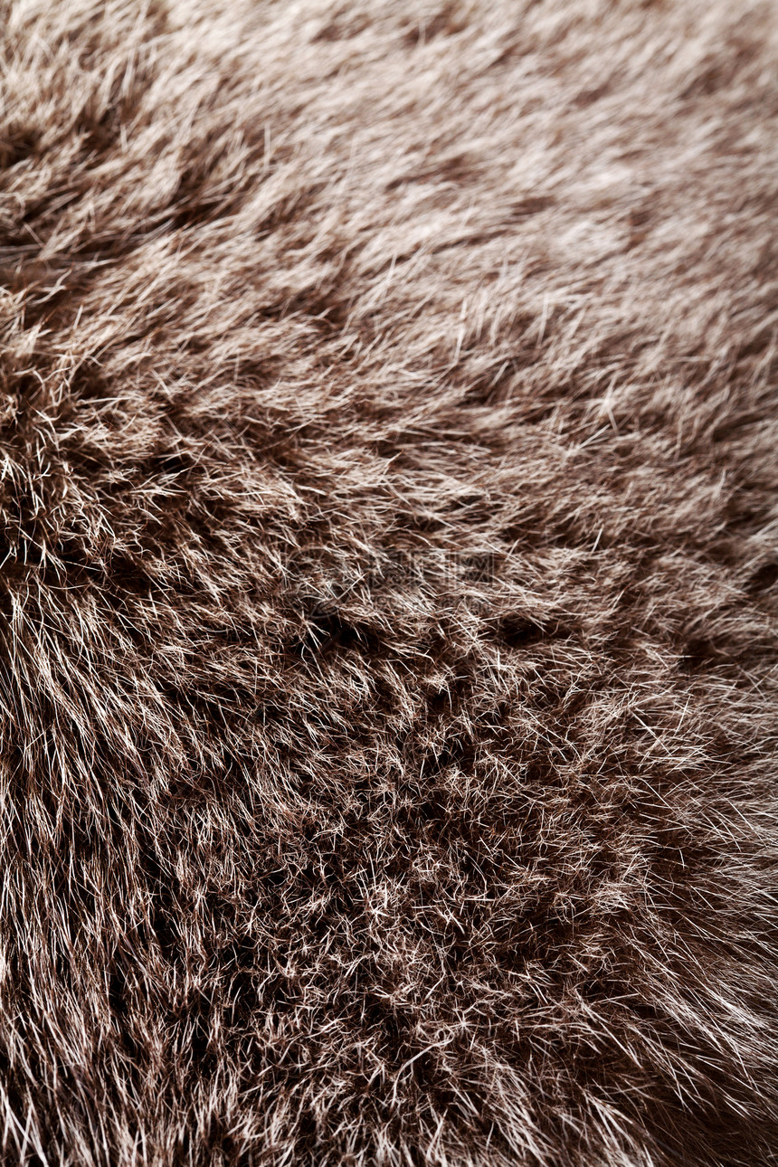 抽象布料背景棕色宏观皮肤灰色衣服毛皮墙纸狐狸材料外套图片