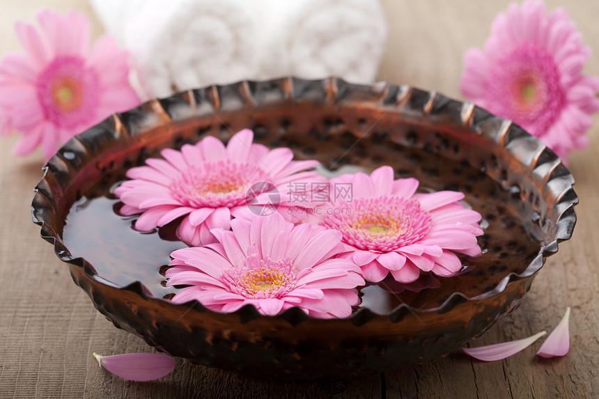 用于芳香治疗的花碗中的花盆盘子疗法植物雏菊格柏风格花瓣温泉香味化妆品图片